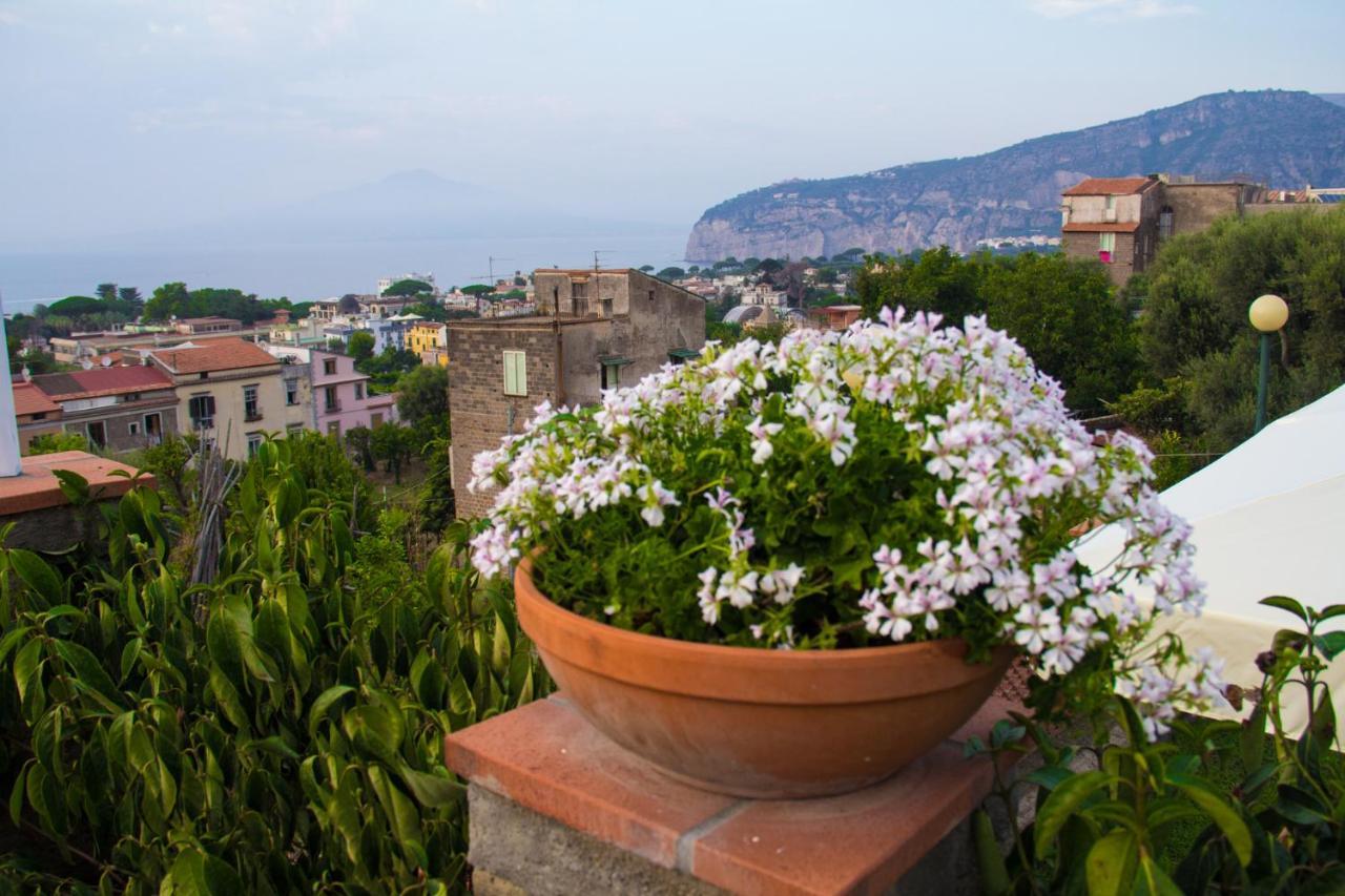 Shanti Home - Restaurant Di Aversano Salvatore Sorrento Dış mekan fotoğraf