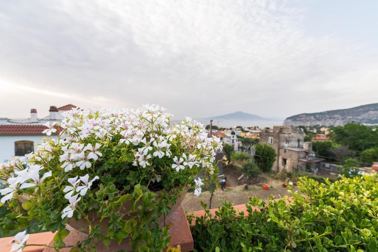 Shanti Home - Restaurant Di Aversano Salvatore Sorrento Dış mekan fotoğraf